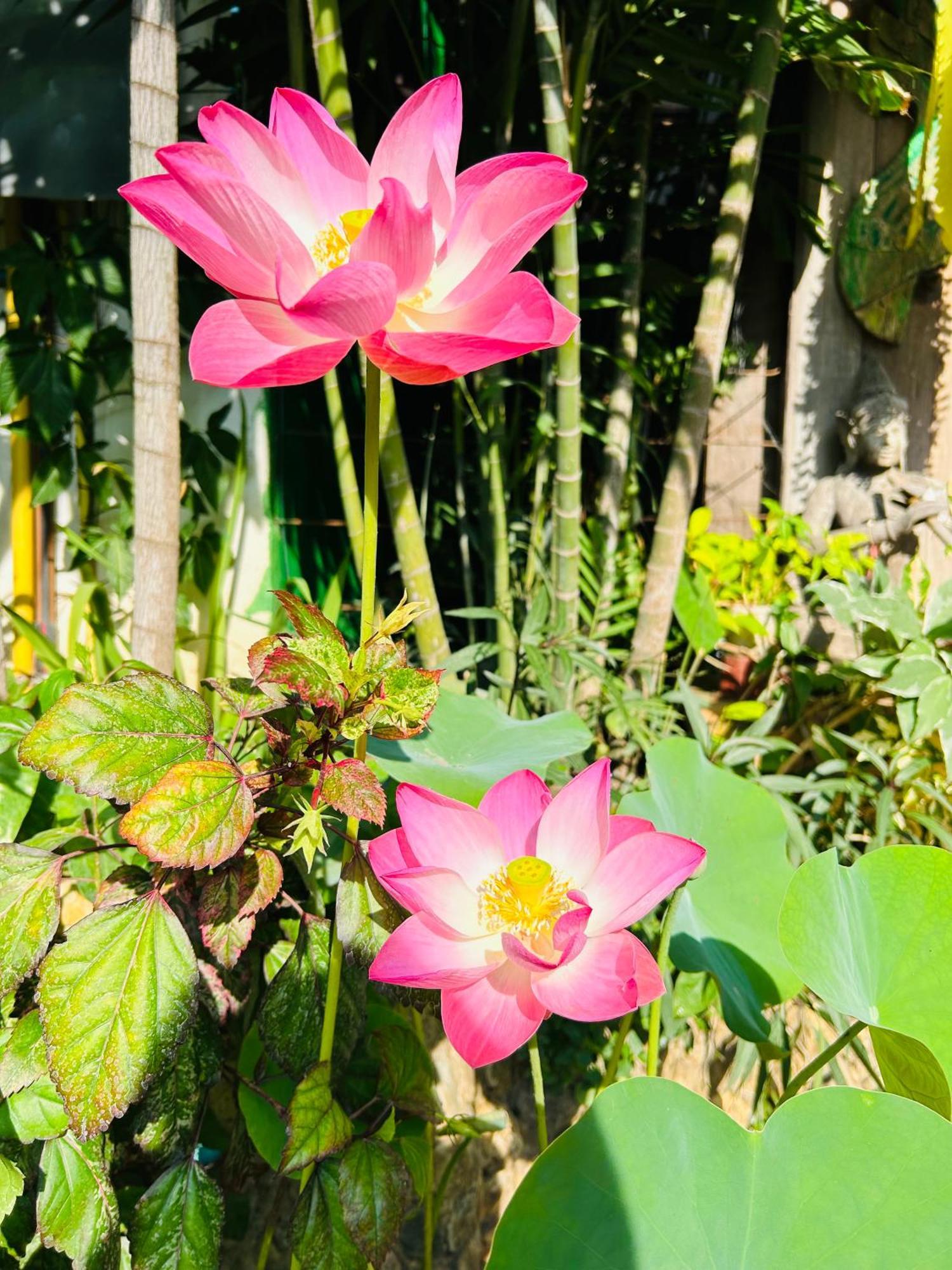 Hongkhao Village Chiang Mai Ngoại thất bức ảnh